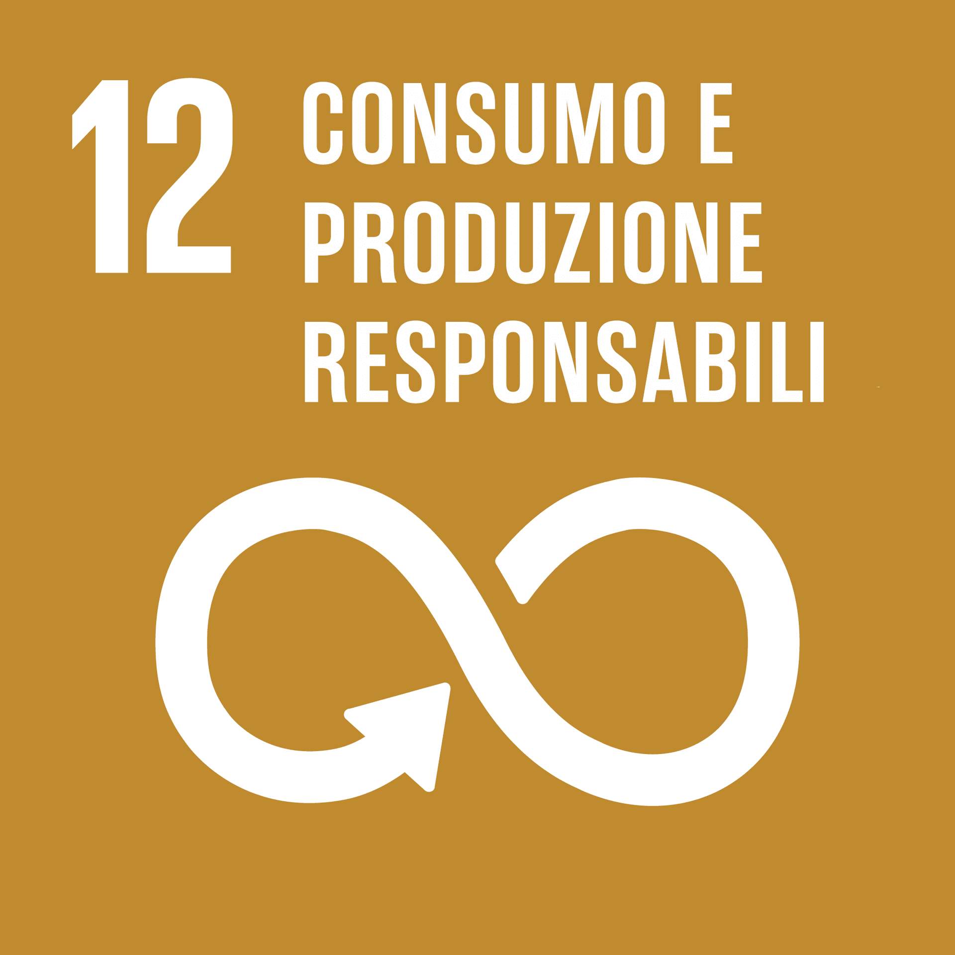 Goal 12: Consumo e produzioni responsabili