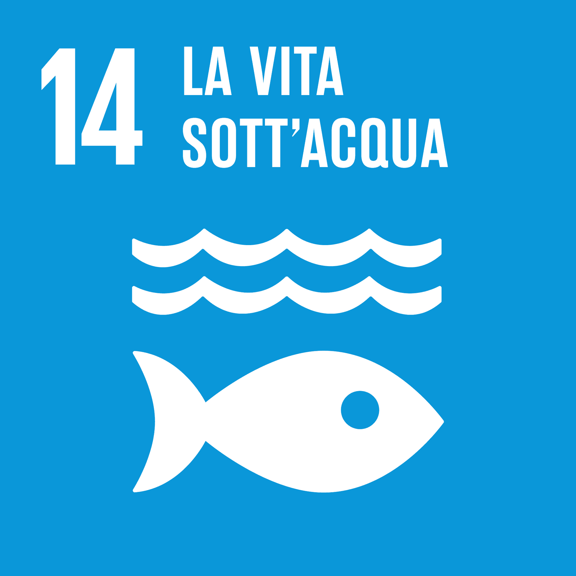 Goal 14: La vita sott'acqua