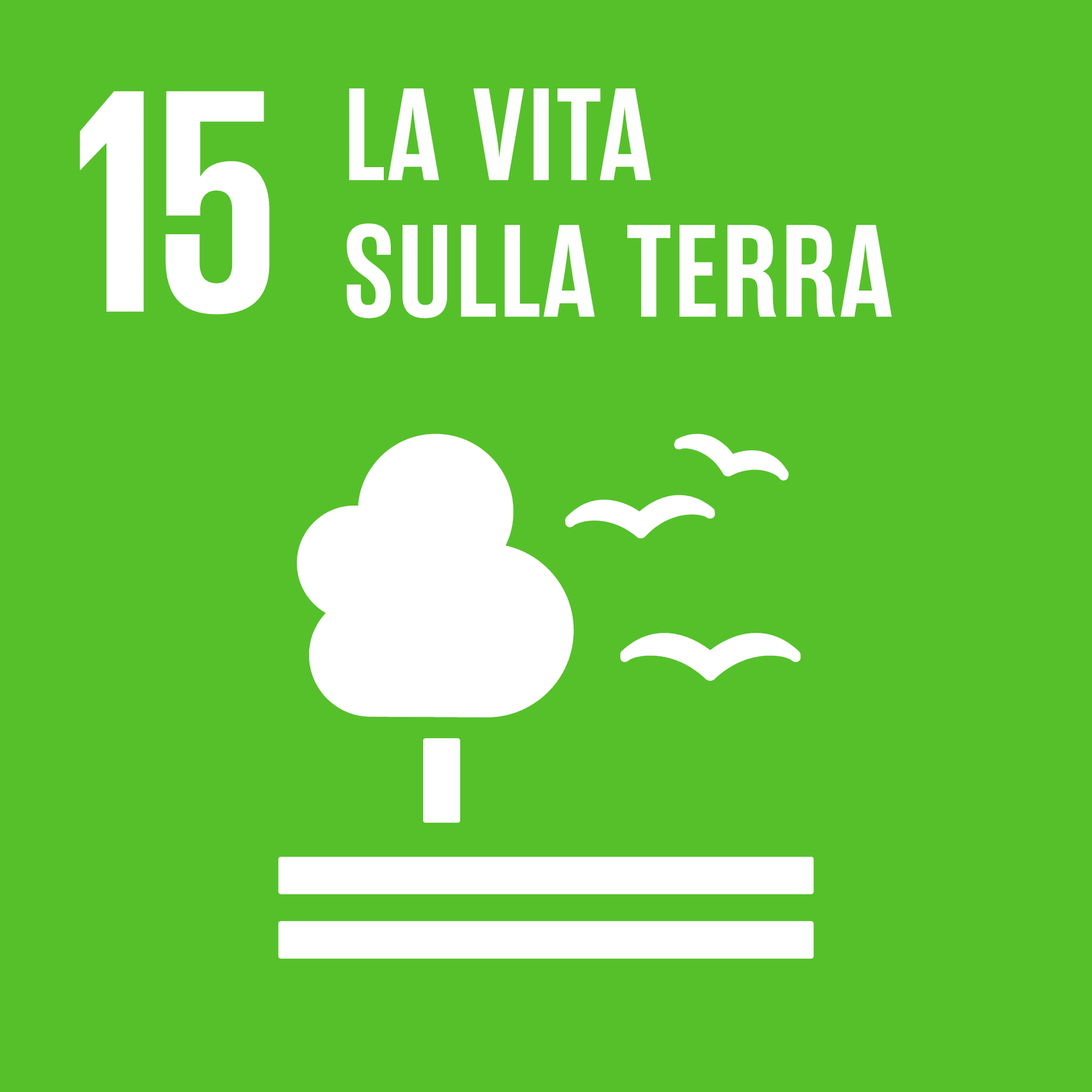 Goal 15: La vita sulla terra
