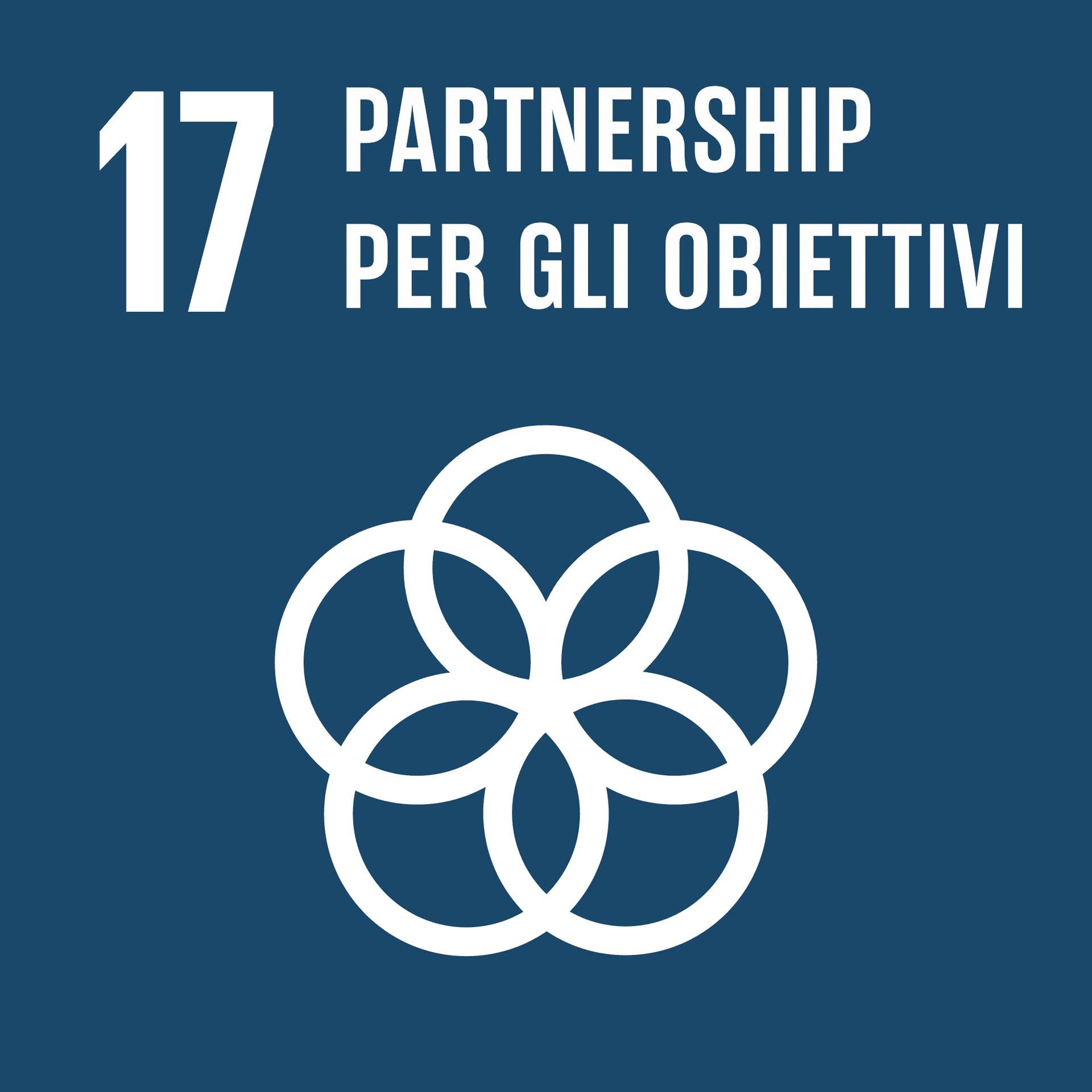 Goal 17: Partnership per gli obiettivi